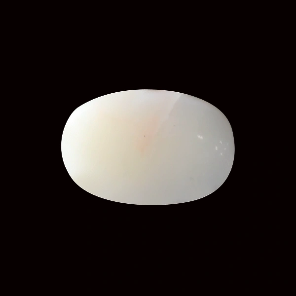 White Coral - 4.84 carats